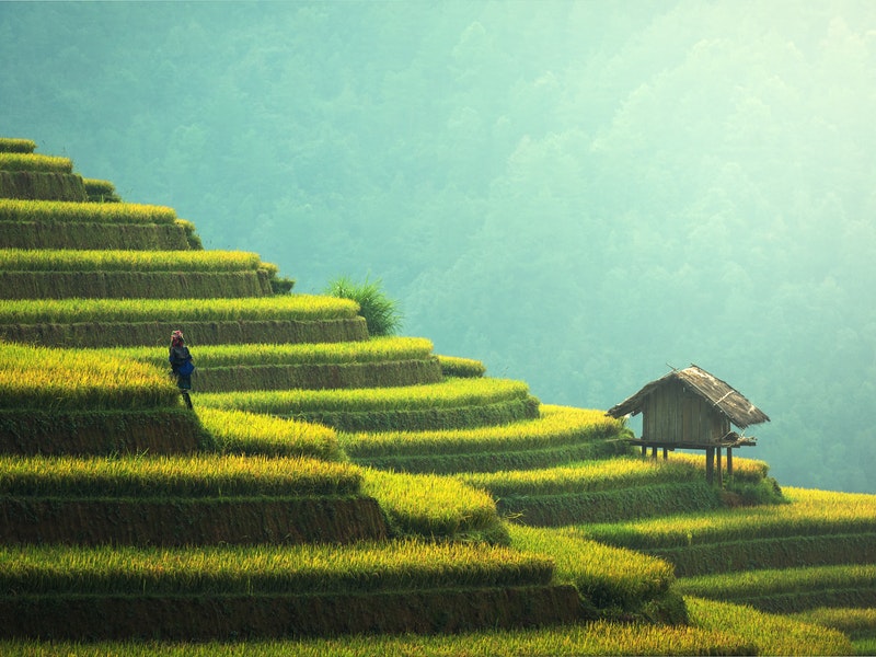The Asia-Pacific's Best Lawyers and Law Firms